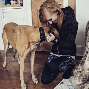 Meet your Posher, Miz